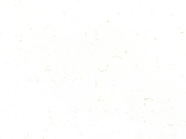 Carrara Prima Gold MODA Quartz slab
